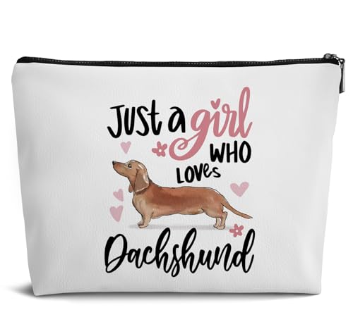 dachshund