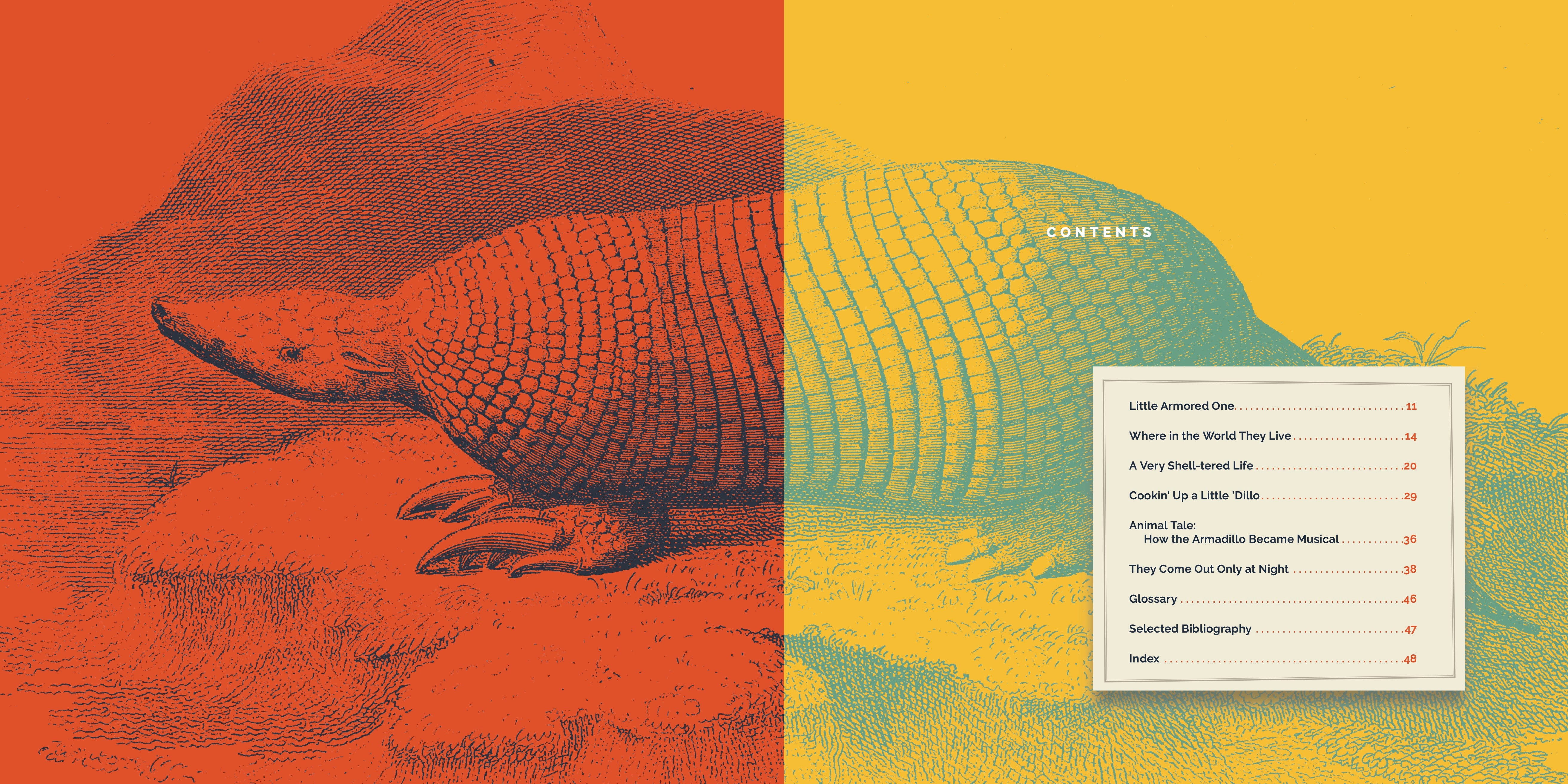 Armadillos Book 9781640267718 - Learn About Armadillos Facts, Habitats & Behavior - Perfect for Animal Lovers, Science Projects & Nature Education