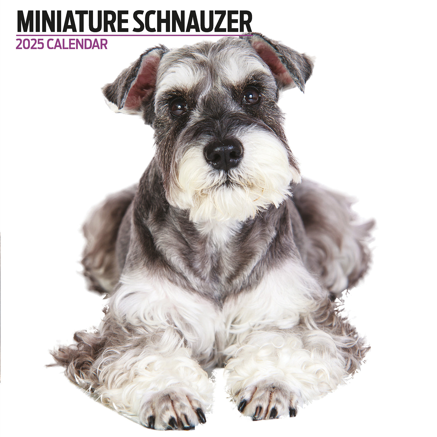 2025 Miniature Schnauzer Wall Calendar - Modern Dog Lover's Planner for Home & Office Decor | Perfect for Pet Owners, Gifts & Scheduling