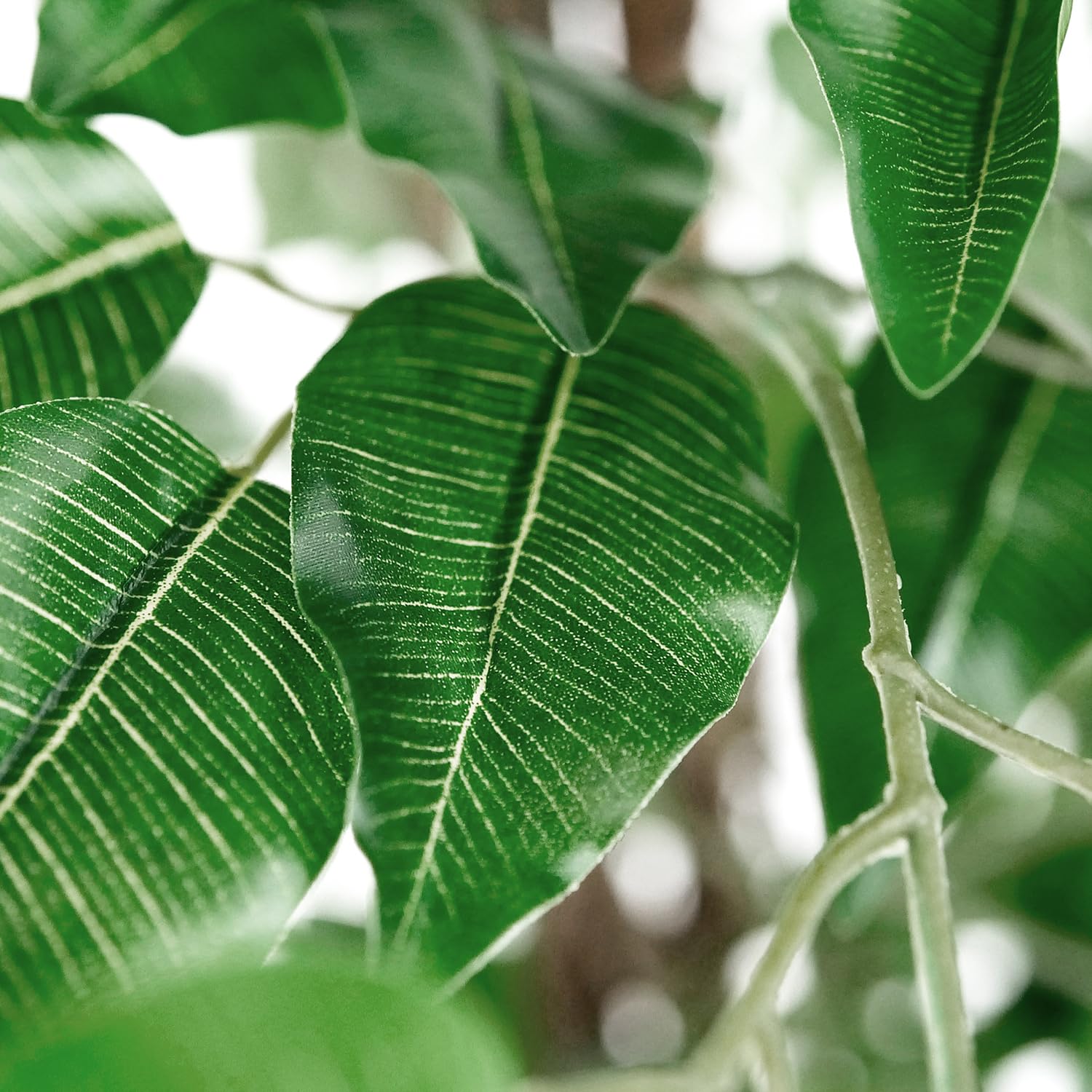 Artificial Ficus Silk Tree in Modern Planter - 75