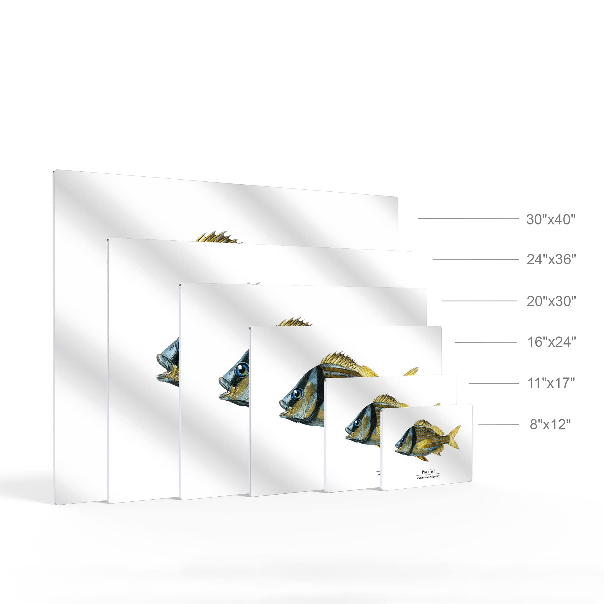 Smile Art Design Porkfish Anisotremus Virginicus Metal Wall Art - 30x40 Inch Ocean Themed Fish Painting for Coastal Decor, Nautical Bedroom, Living Room & Kids Room - Made in USA | Perfect for Beach House, Fishing Lodge & Marine Lover's Home Decor