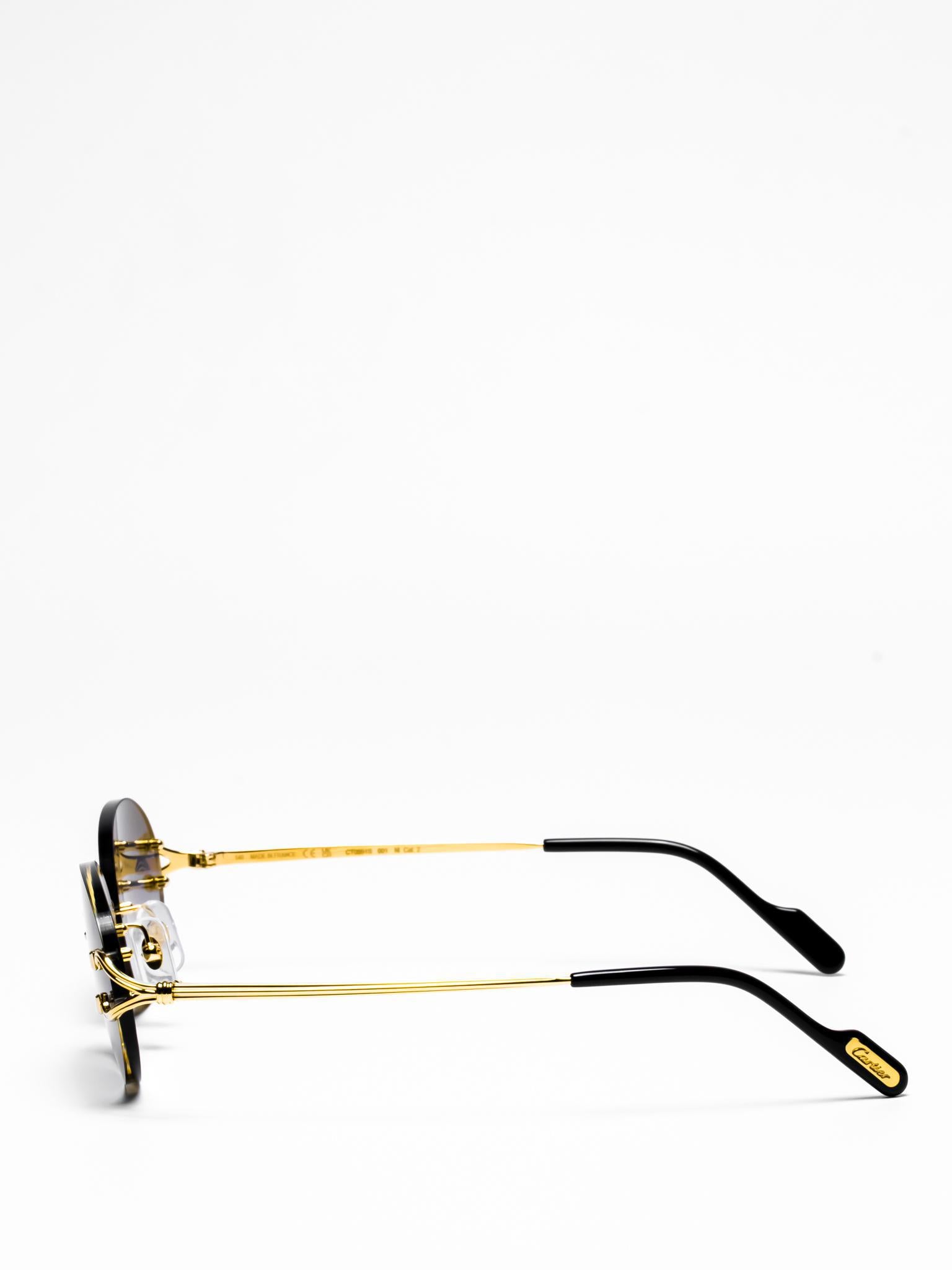 Cartier CT0551S 001 C Décor Sunglasses - Luxury Designer Shades for Women & Men | Perfect for Beach, Driving & Outdoor Fashion