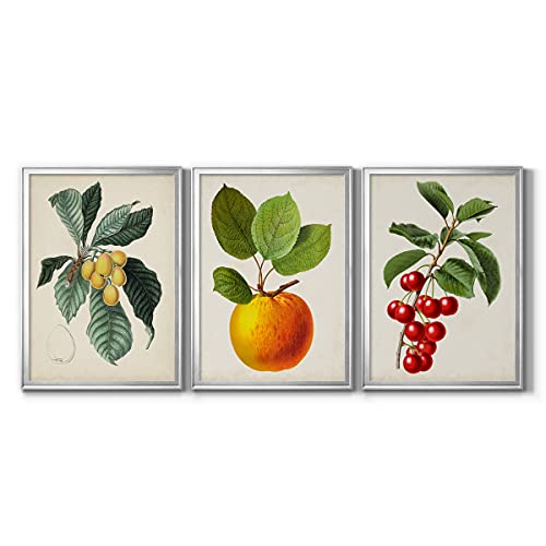 Art S2480-3ss