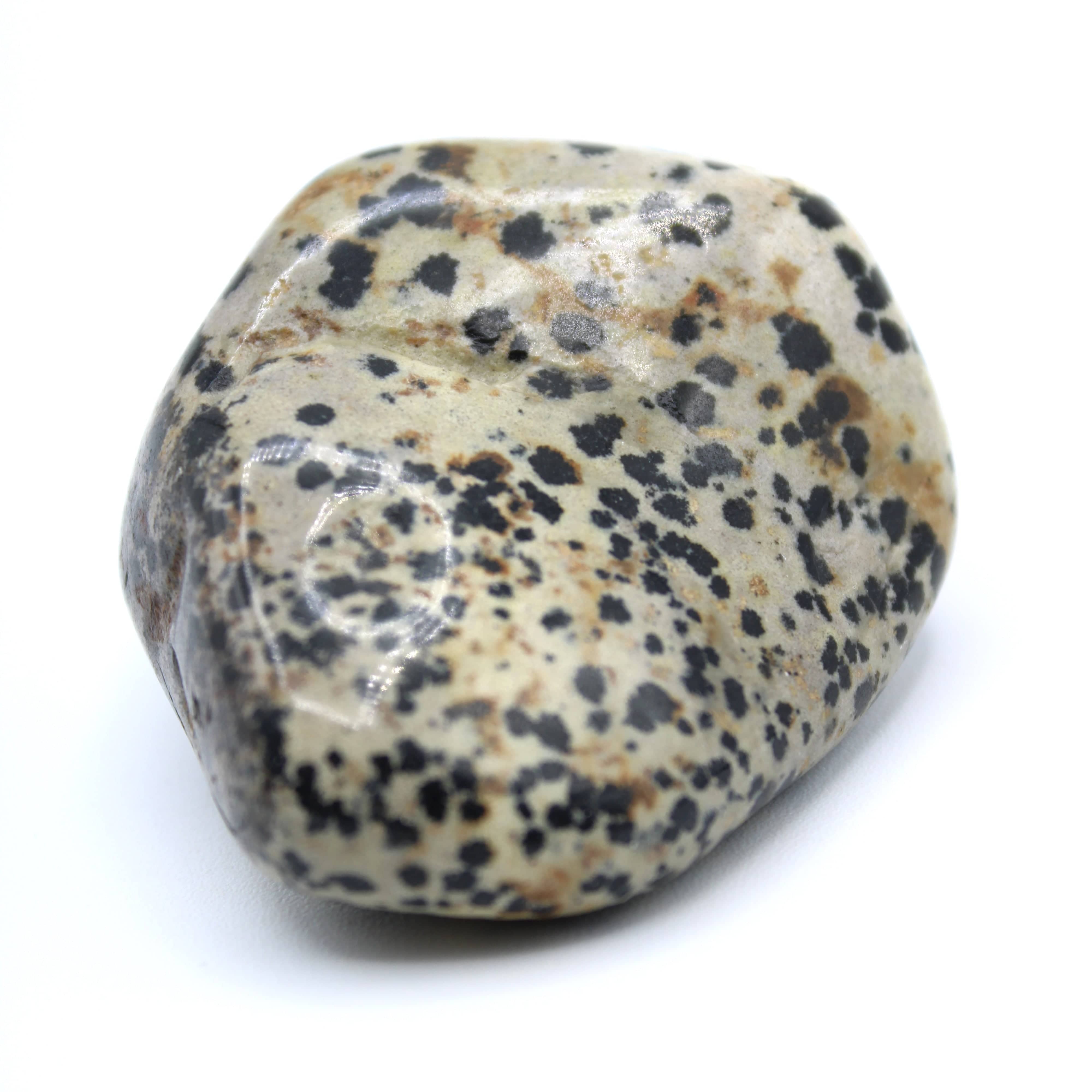 Natural Dalmatian Jasper Free Form Stone - Healing Crystal for Meditation, Energy Balance & Home Decor | Perfect for Yoga, Reiki & Spiritual Practices