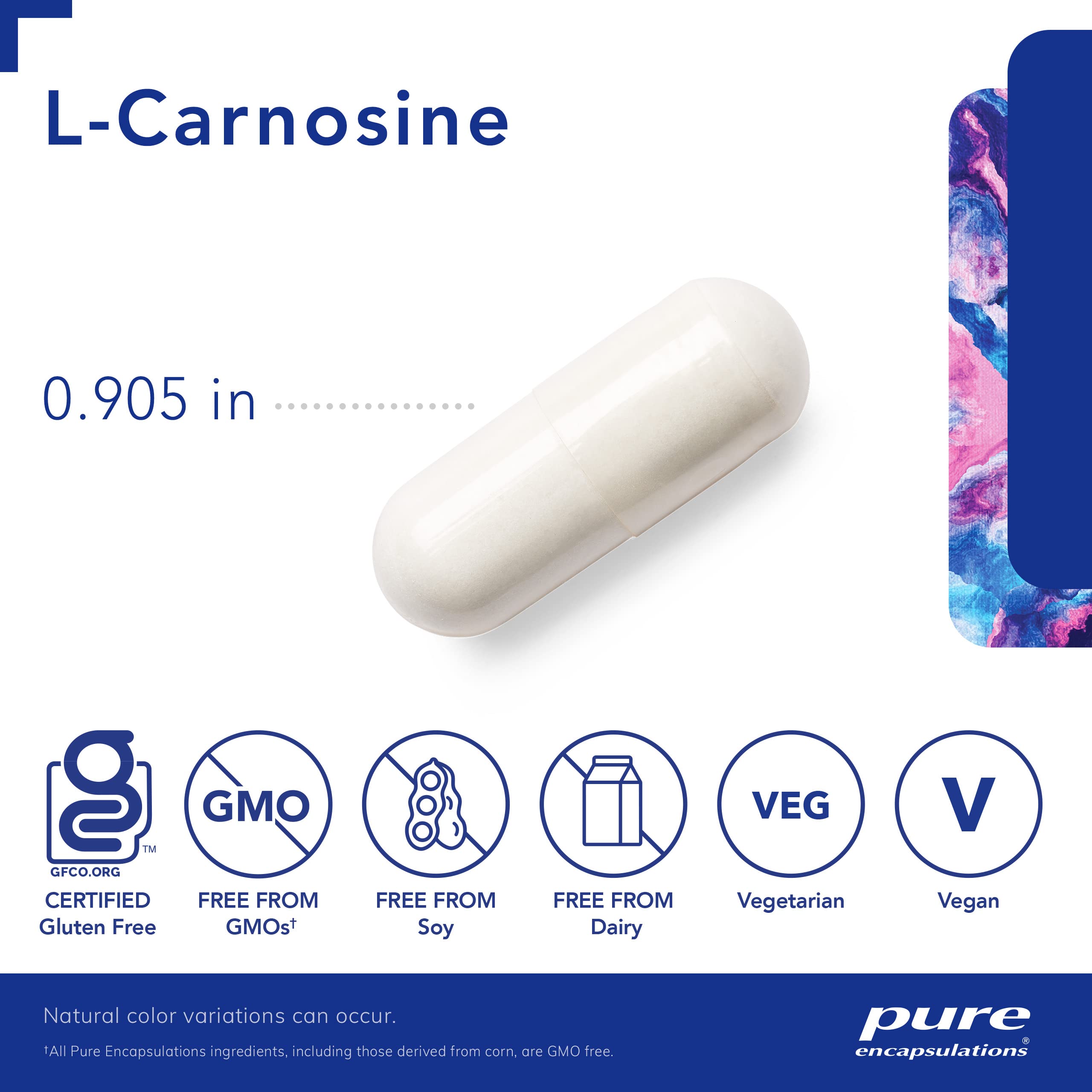 Pure Encapsulations L-Carnosine 500mg | Premium Amino Acid Supplement for Joint Support, Brain Function, Antioxidant Protection & Heart Health | 120 Veggie Capsules | Supports Exercise Performance & Anti-Aging