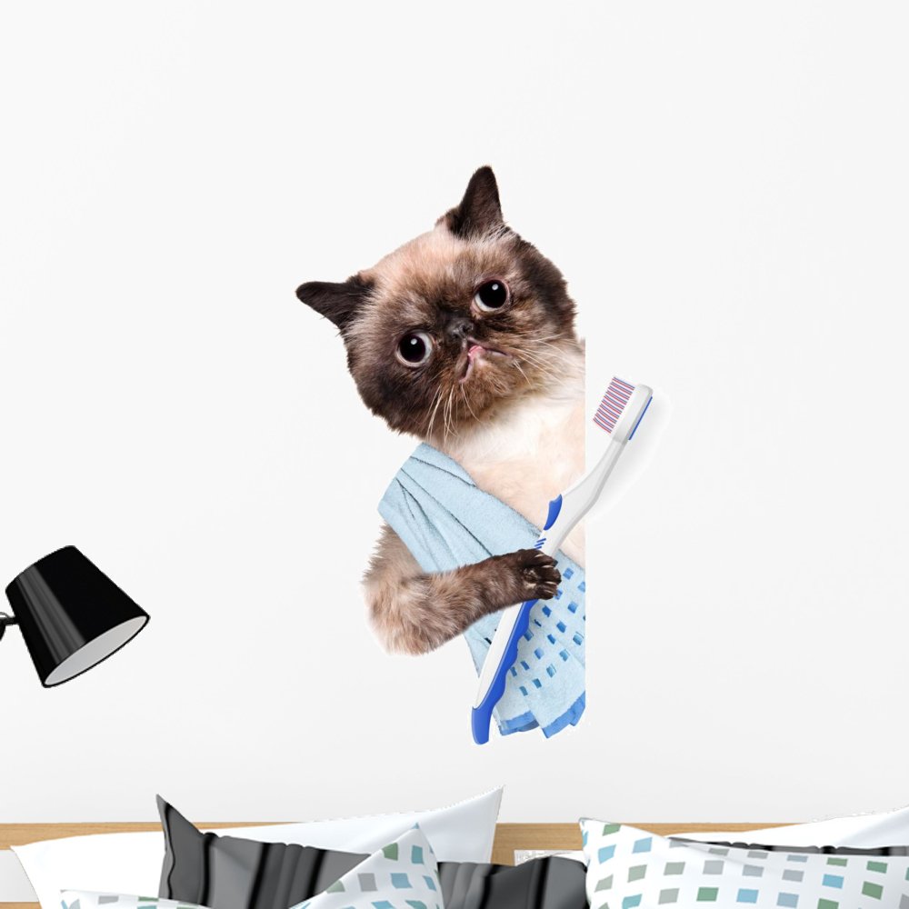 Wallmonkeys Peel and Stick Cat Brushing Teeth Wall Decal - 36x34 Inch Animal Graphic Art (WM137577) | Fun Bathroom Decor, Kids Room Sticker, Pet Lover Gift