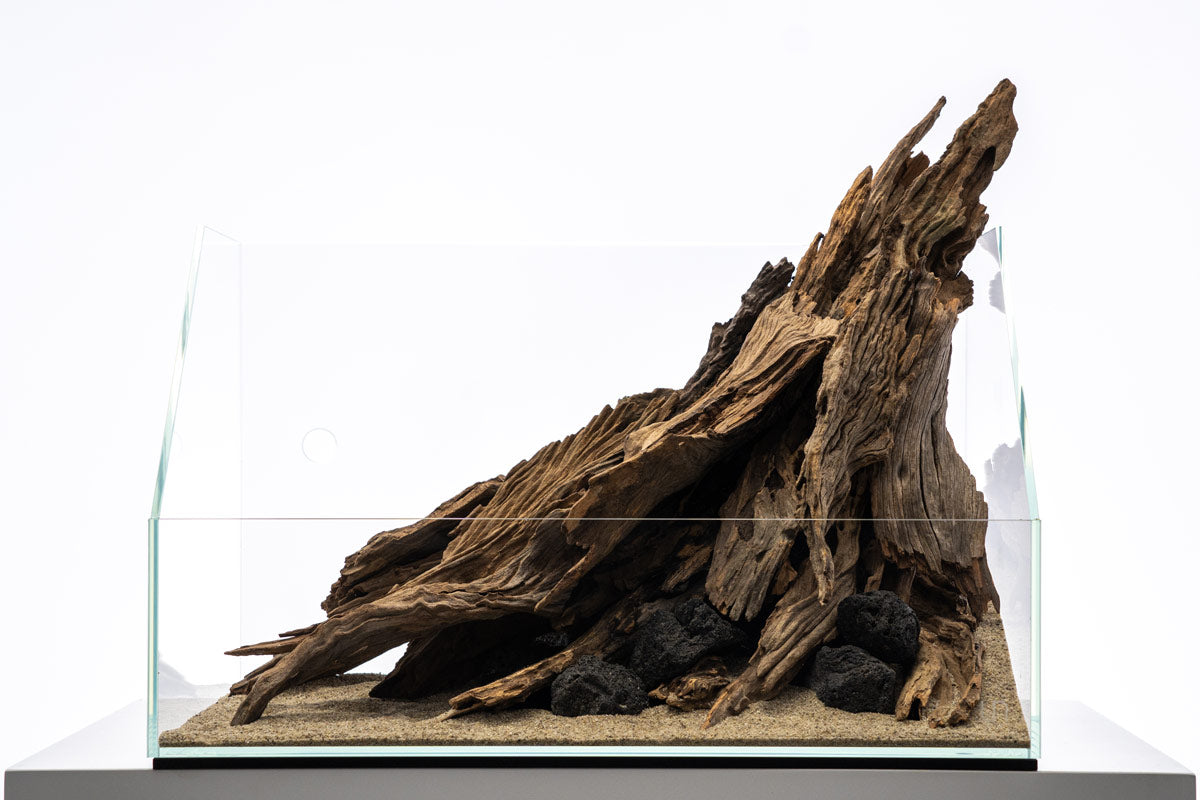 Complete Paludarium Starter Kit for Reptiles & Amphibians - Terrarium Setup with Plants, Substrate & Decor - Perfect for Vivariums, Frog Habitats & Gecko Enclosures
