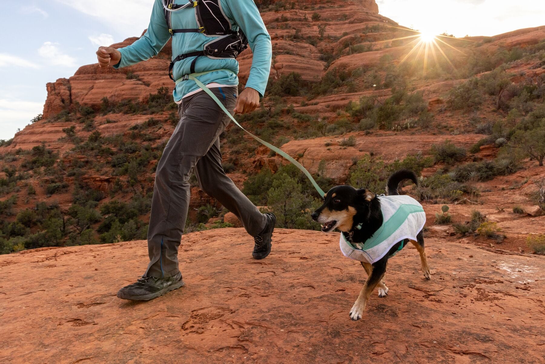 Ruffwear® Swamp Cooler Vest - Cooling Dog Vest in Heliotrope Purple for Hot Weather & Outdoor Adventures
