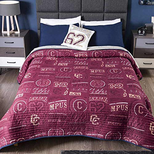 Minneapolis Campus Teens Reversible 8-Piece Queen Comforter Set - Burgundy & Grey Dorm Bedding for College Students | Soft & Cozy Reversible Design for All Seasons