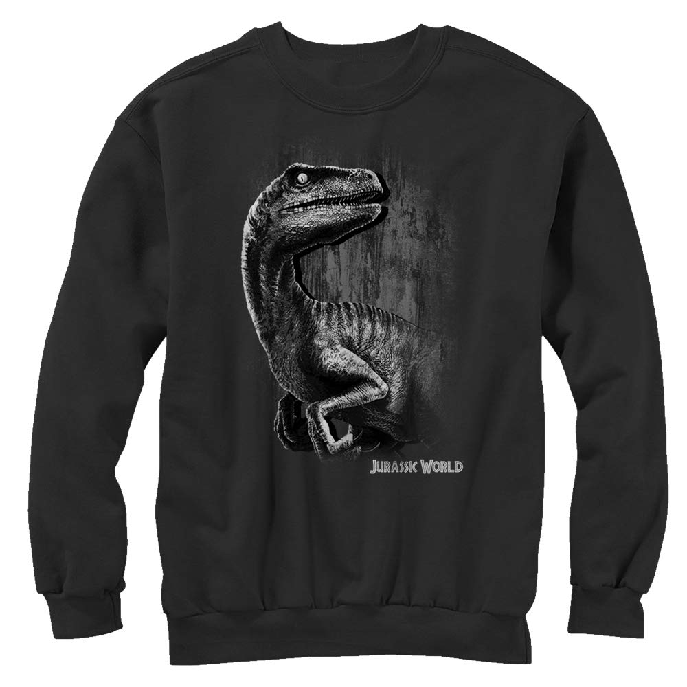 Jurassic World Raptor Smile Men's Pullover Hoodie - Soft Fleece Crewneck Sweatshirt - Perfect for Casual Wear, Movie Nights & Dinosaur Fans Gifts