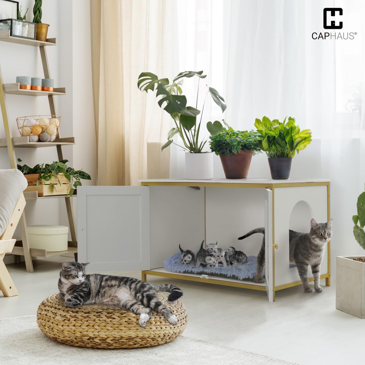 CAPHAUS White Wooden Cat Litter Box Furniture with Divider - Hidden Flip-Top Enclosed Washroom for Large Cats - Indoor Cat House with Double Doors & Metal Frame - Perfect for Small Spaces & Home Decor