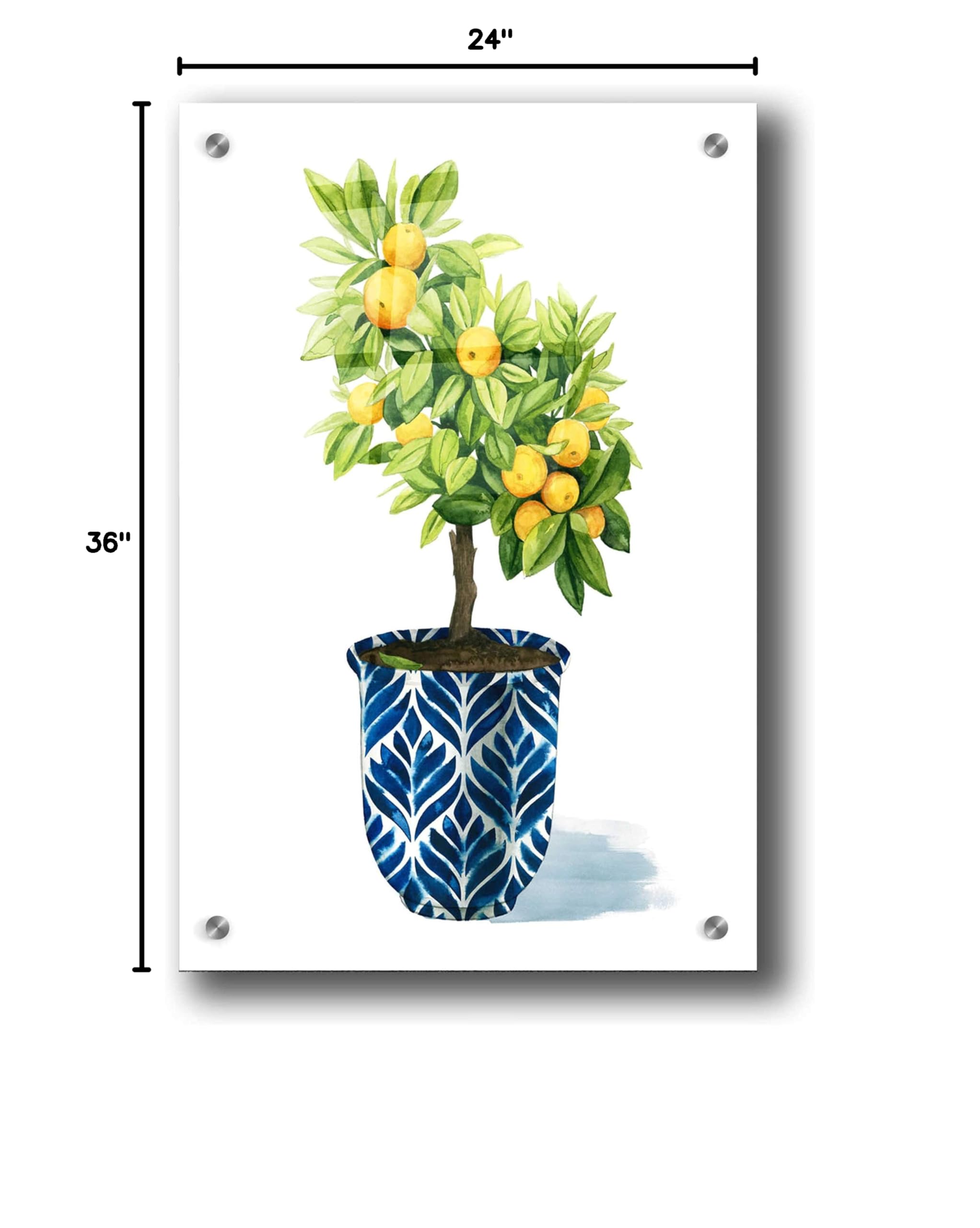 Grace Popp 'Fruit Tree I' Acrylic Glass Wall Art Print - 24x36 Inches Modern Home Decor for Living Room, Bedroom & Office