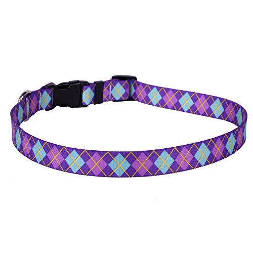 Purple Argyle