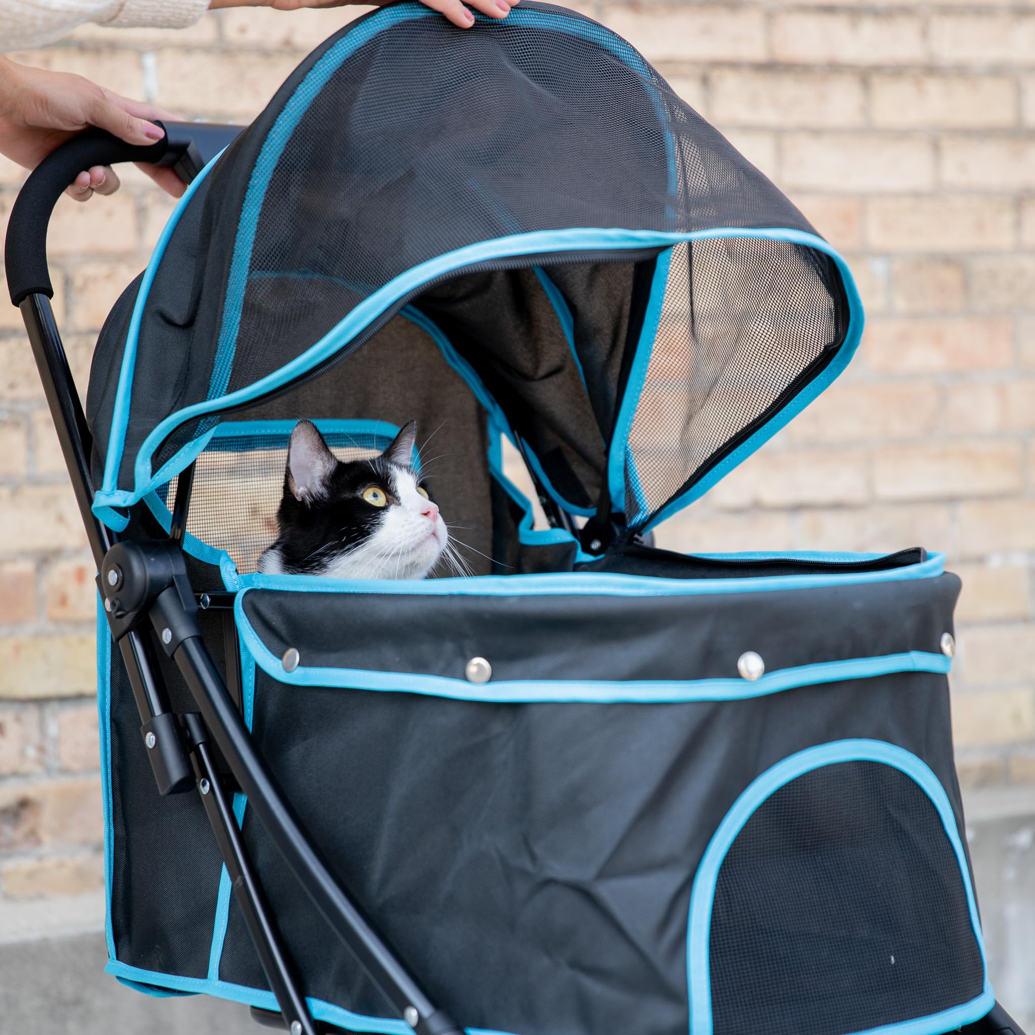 Carlson Pet Stroller for Small Dogs & Cats - 360° Swivel Wheels, Rear Brakes, Reflective Trim & Mesh Panels - Includes Umbrella & Foldable Canopy - Compact Foldable Design (Black) - Perfect for Travel, Vet Visits & Outdoor Adventures