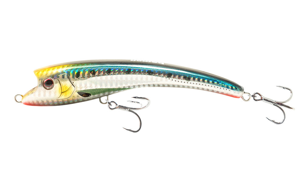 Sardine