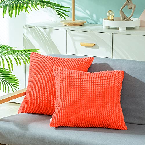 Living Coral - Corn