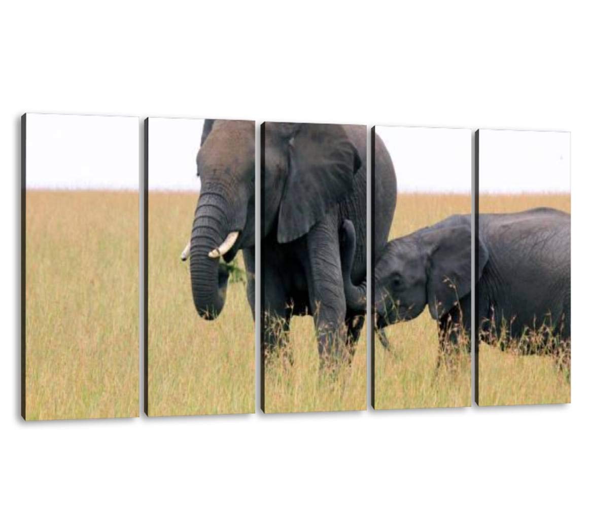 KiiAmy 5-Panel Elephant Family Wall Art - Breastfeeding Baby Elephant Portrait Canvas Painting - Modern Framed Home Decor for Living Room, Bedroom & Office - Ready to Hang (60