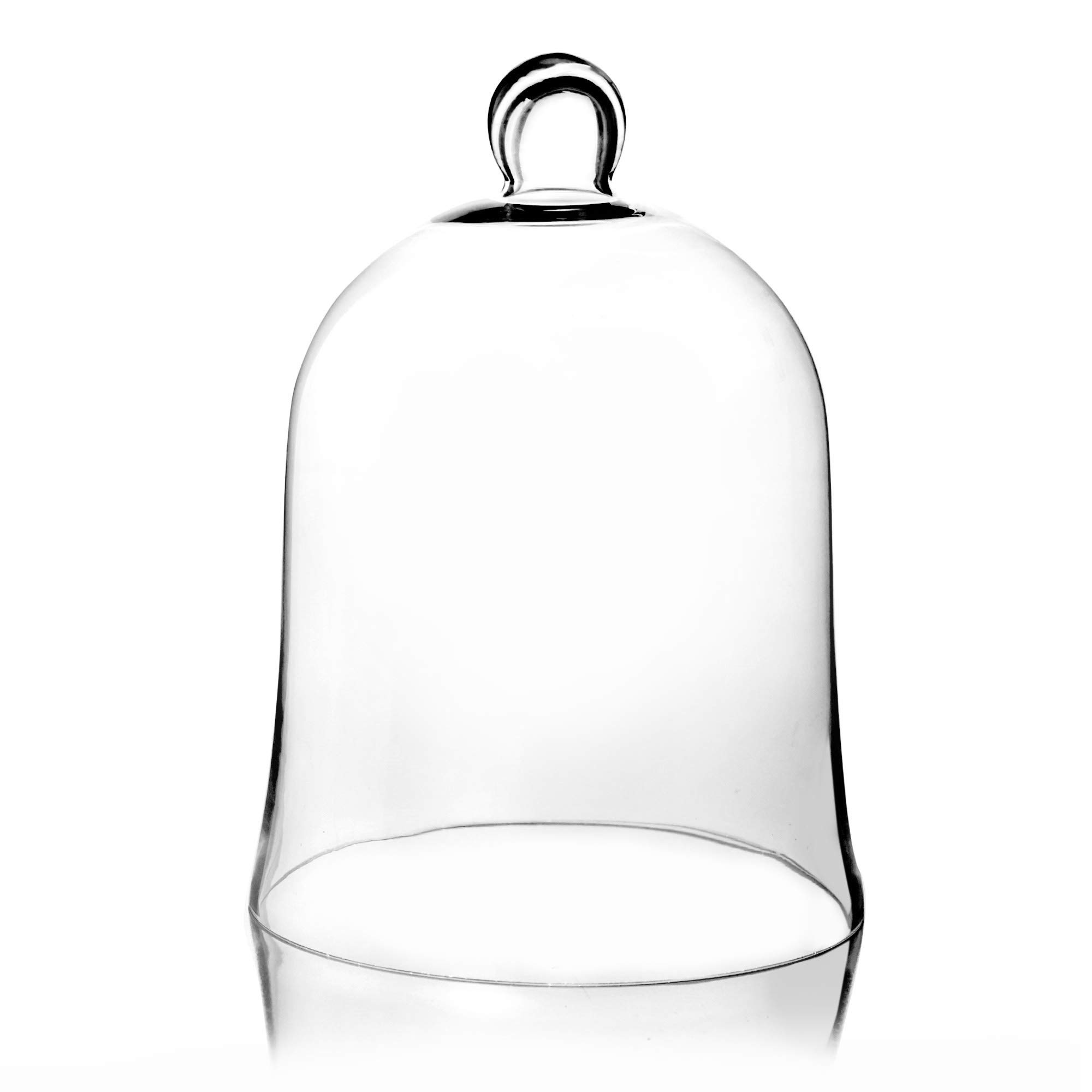 Enchanted Rose Glass Bell Dome Cloche (16