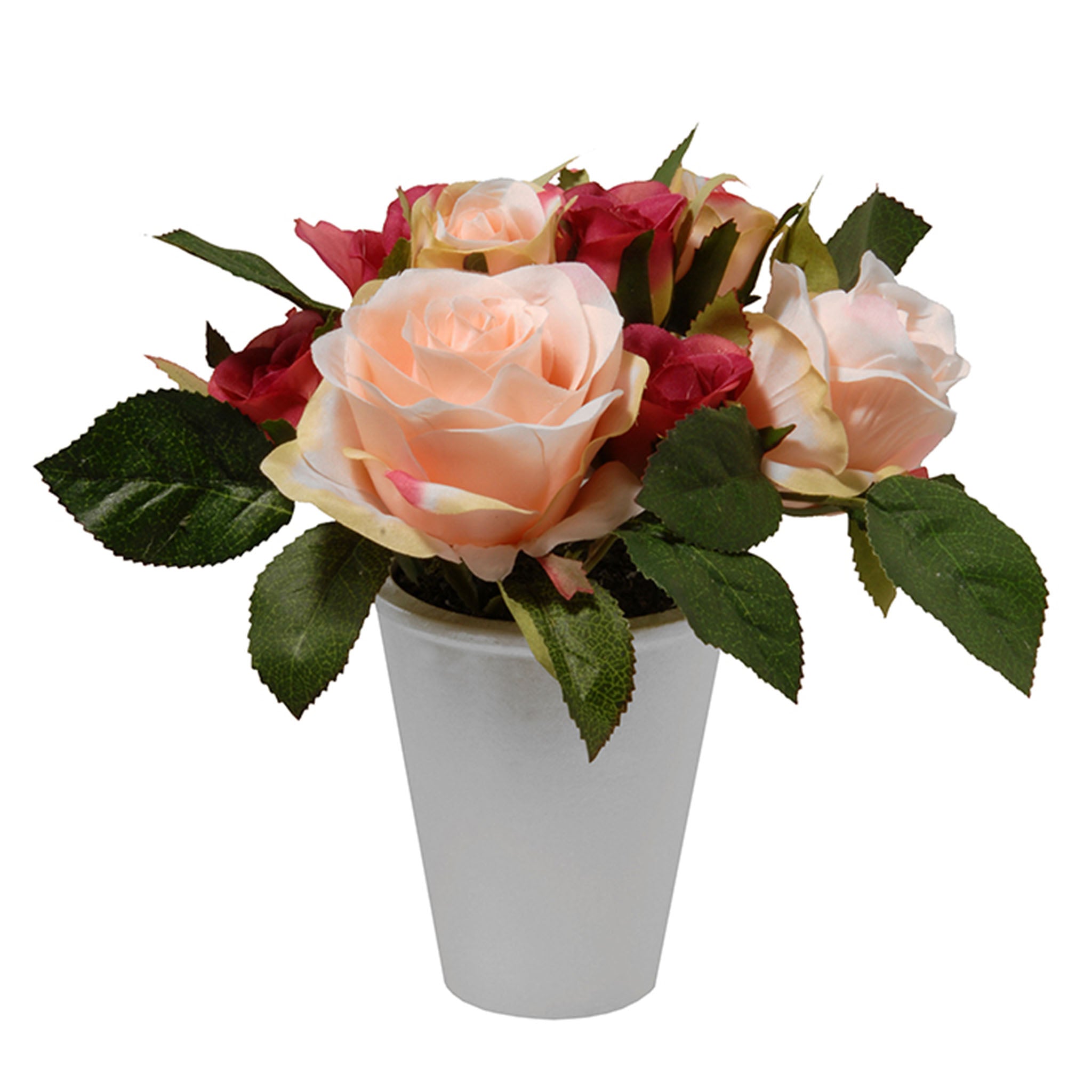 8 Inch Spring Pink and Red Roses Potted Plant in White Ceramic Pot - Perfect for Home Decor, Office Desk, and Gift Giving