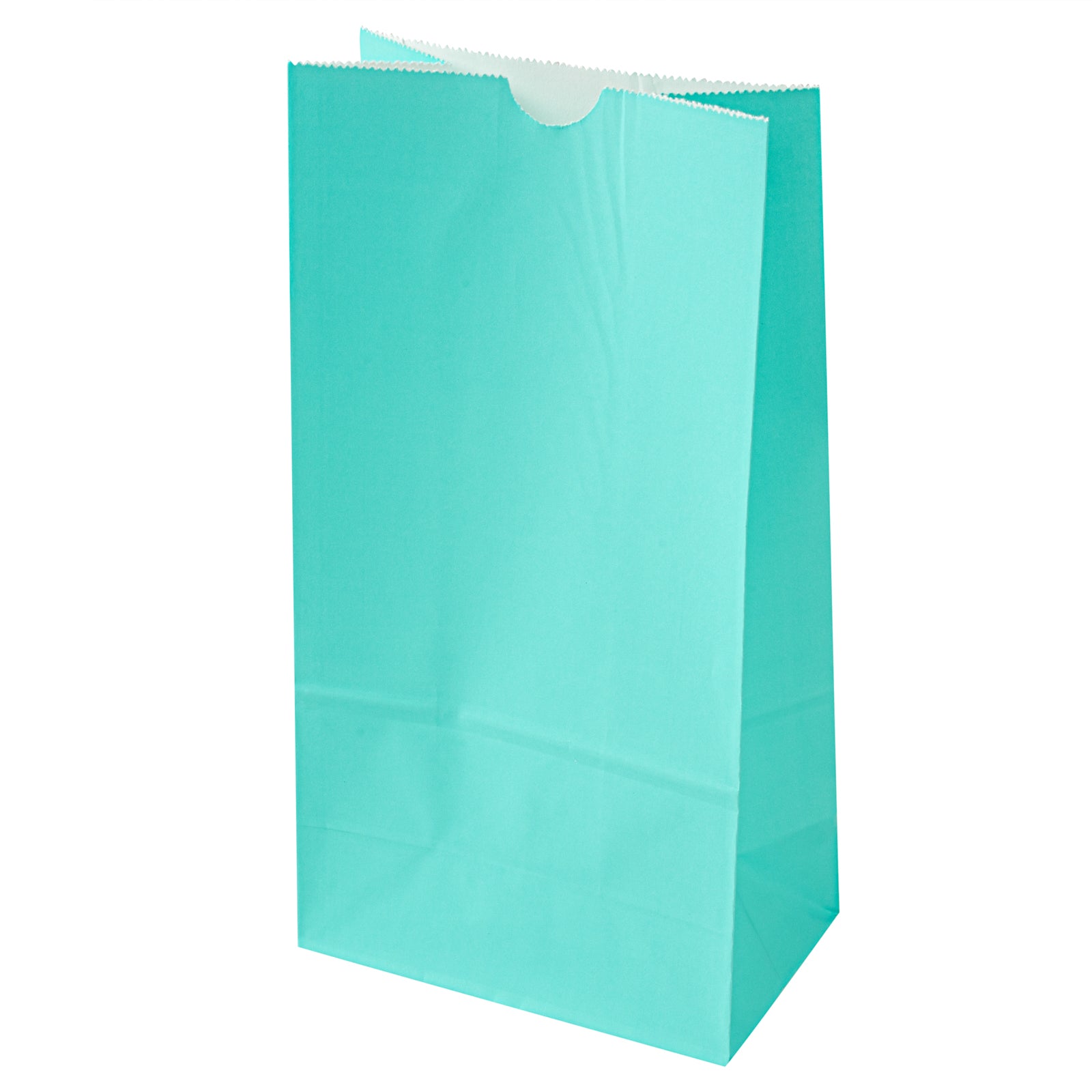 Premium Turquoise Paper Bags - 6 lbs, 6