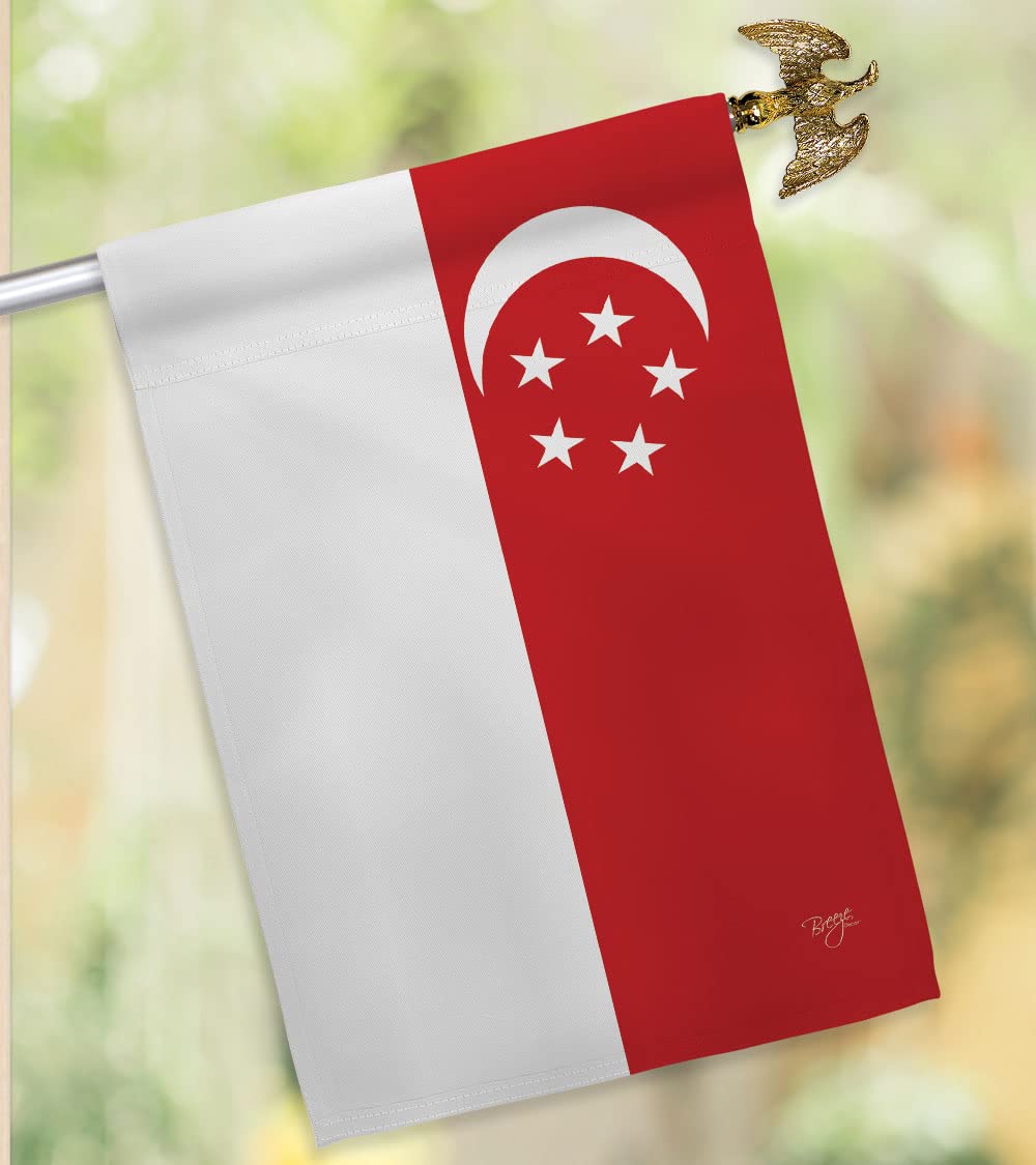 Singapore Nationality House Flag Set 28