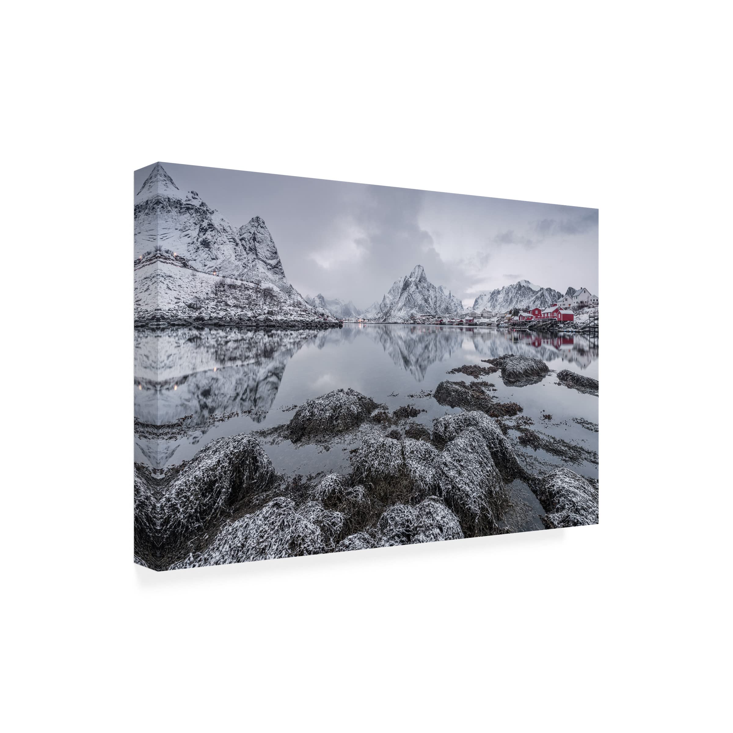 Trademark Fine Art 'Reine' Canvas Wall Art by Raymond Hoffmann - Elegant Home Decor for Living Room, Bedroom & Office