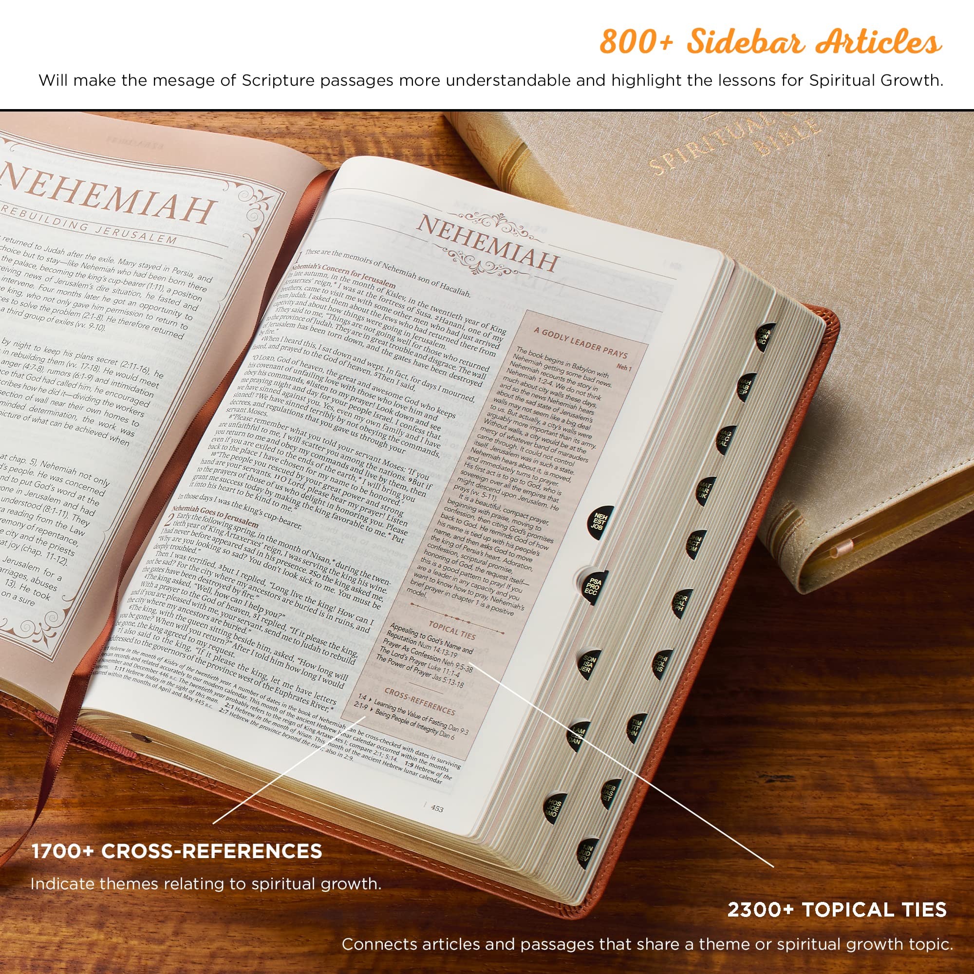 Spiritual Growth Bible NLT - New Living Translation Holy Bible, Faux Leather Pink Cover, Christian Devotional & Bible Study Tool for Women's Group & Personal Reflection