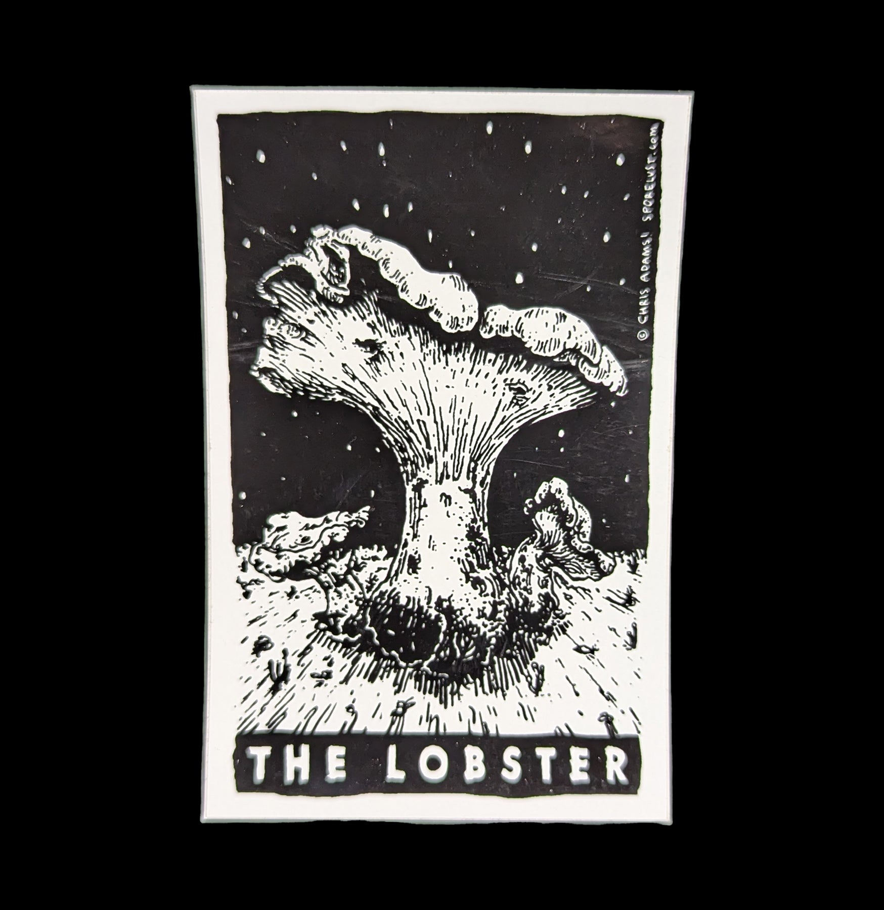 Premium Lobster Mushroom Sticker - Waterproof Vinyl Decal for Laptops, Water Bottles & Outdoor Gear - Unique Fungi Art for Nature Lovers & Mycologists