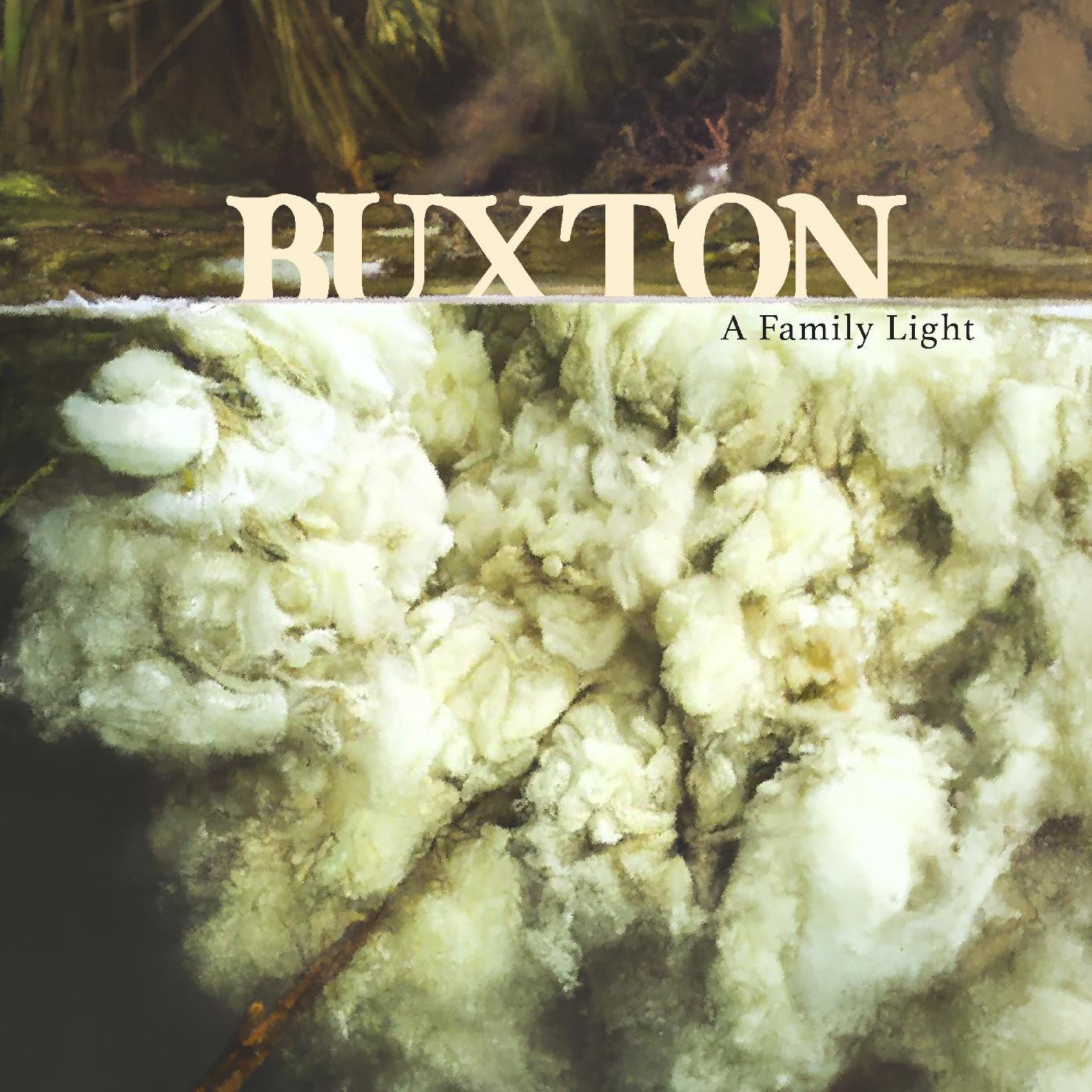 Buxton - A Family Light (Autographed 2LP Clear Green Vinyl) | Indie Folk Album | Limited Edition Collectible Vinyl Record | Perfect for Music Lovers & Vinyl Collectors