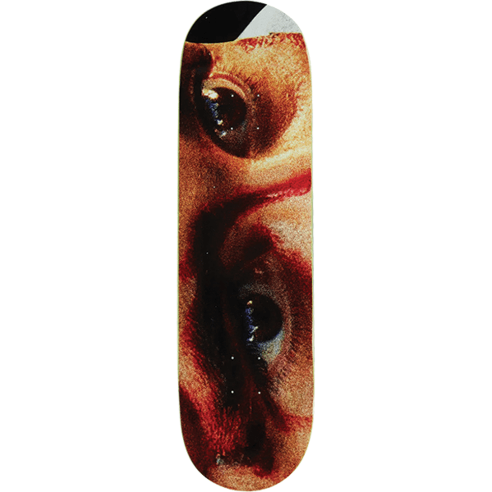 Deathwish Delfino Road To Nowhere Skateboard Deck 8.5