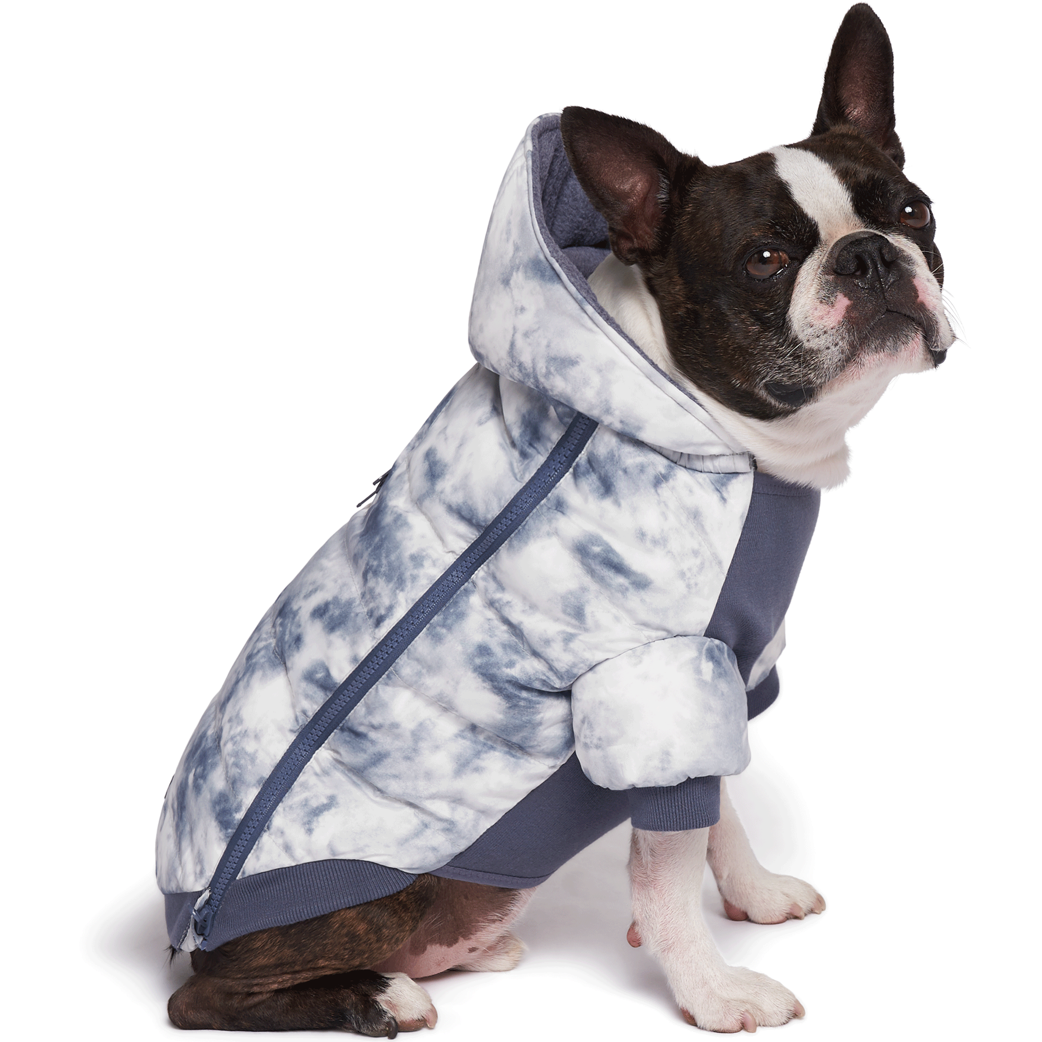 Canada Pooch Prism Puffer Dog Jacket - Waterproof & Reflective Winter Coat for Small, Medium & Large Dogs - Perfect for Cold Weather Walks & Outdoor Adventures