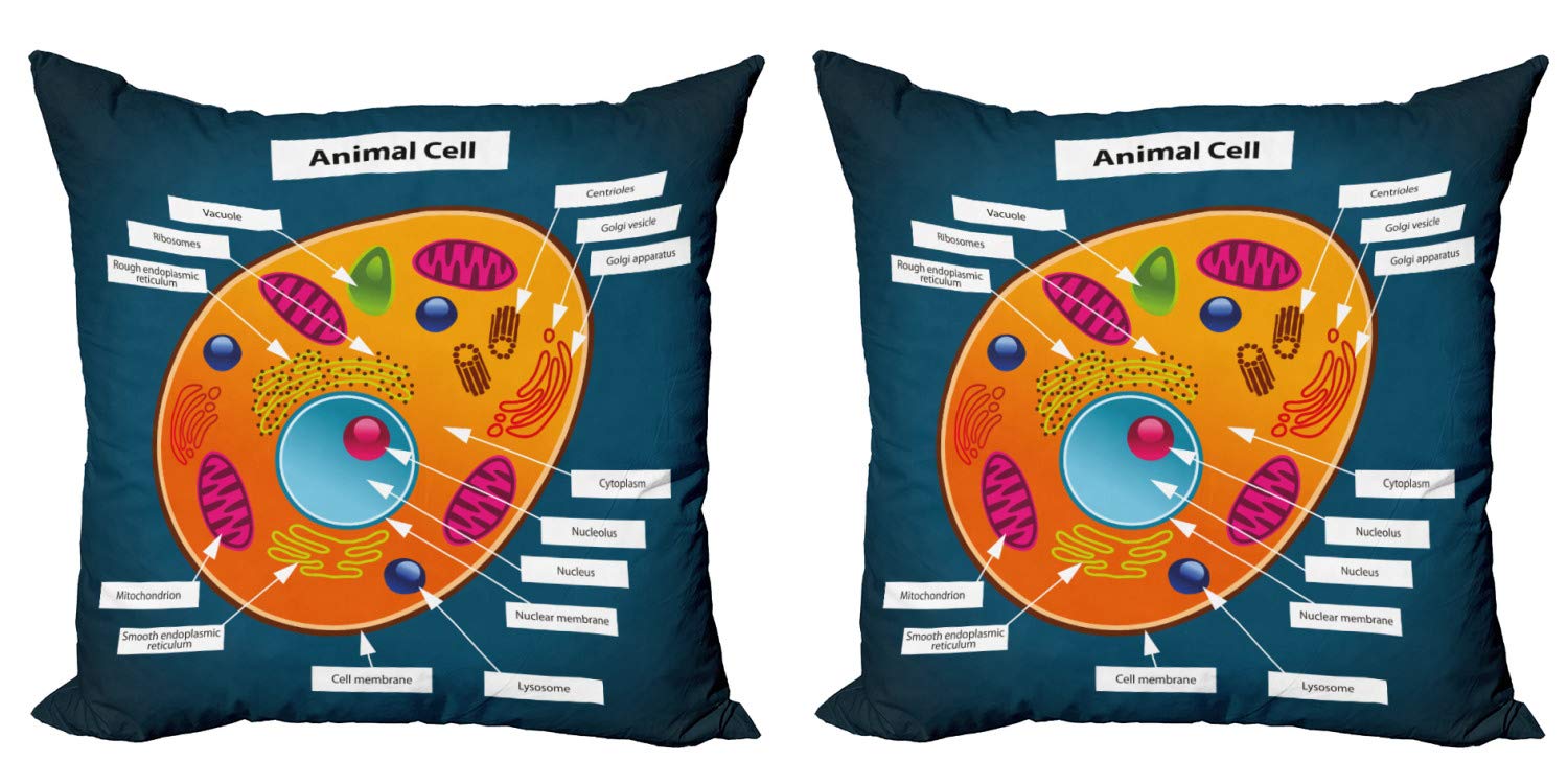 Ambesonne Science Decorative Throw Pillow Covers Pack of 2 - Animal Cell Biology Design with Colorful Nucleus Display - 18 Inch Square Cushion Covers for Sofa, Bed & Living Room - Perfect for Science Classrooms, Labs & Nerdy Home Decor