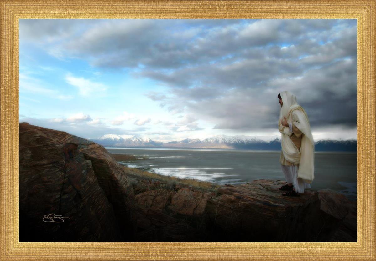 Alone Shepherd Book by Scott Sumner - Inspirational Christian Fiction for Personal Growth & Faith Journey | Perfect for Book Clubs, Bible Study Groups & Quiet Reflection Time
