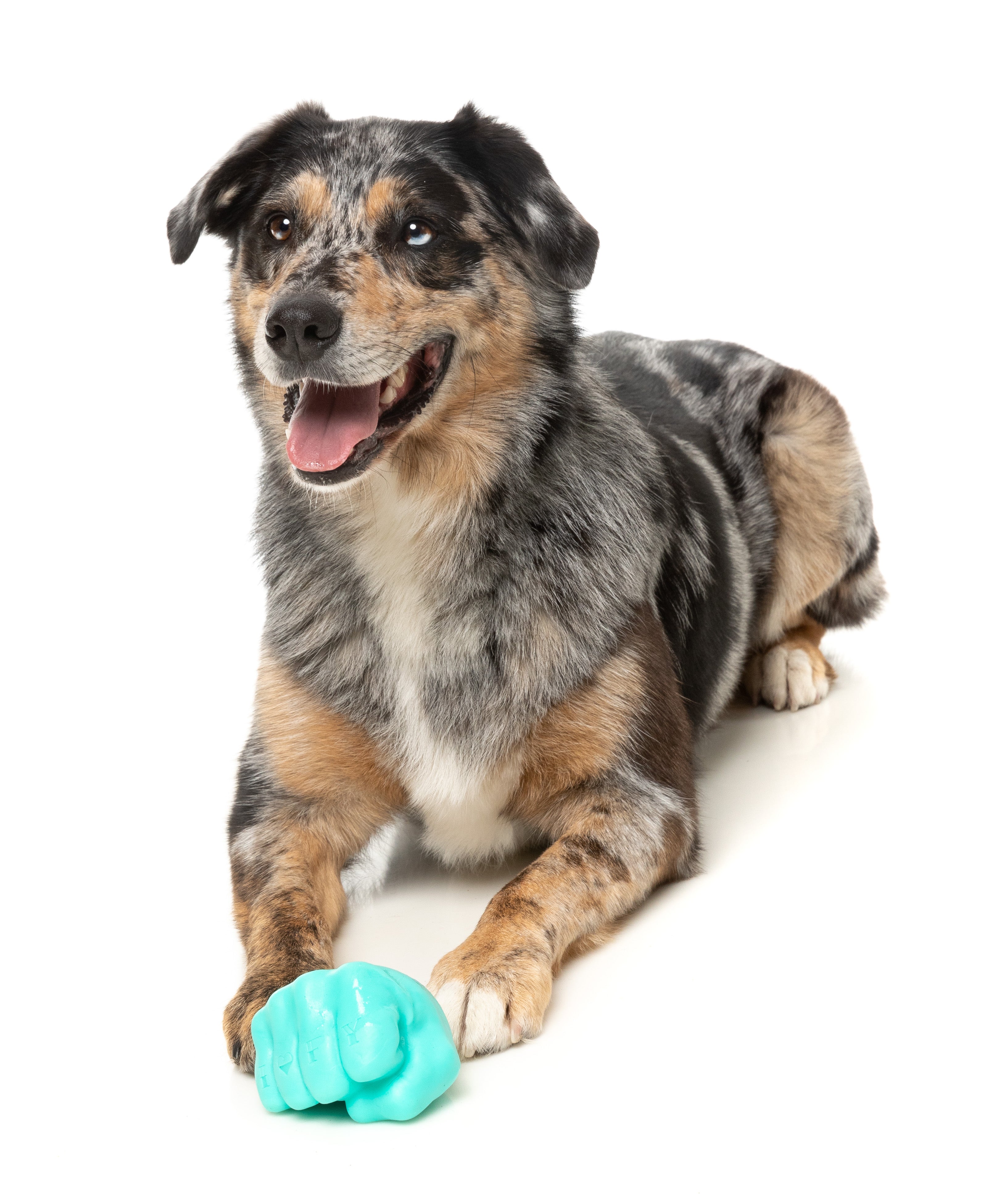 Fuzzyard Interactive Dog Chew Toy with Treat Dispenser - Knuckle Sandwich Design for Boredom Relief & Dental Health | Perfect for Training, Playtime & Anxiety Relief