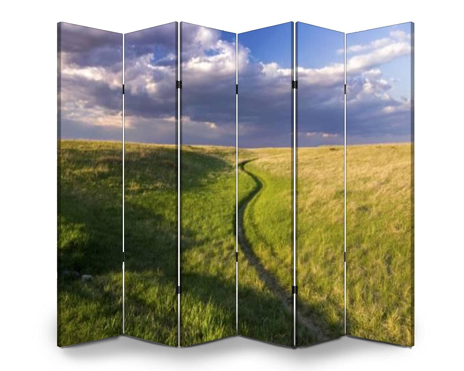 6-Panel Folding Room Divider Screen - Natural Grassland Design for Indoor/Outdoor Privacy - Freestanding Partition for Home, Office, and Events - Perfect for Creating Separate Spaces in Living Rooms, Bedrooms, Gardens, and Commercial Areas