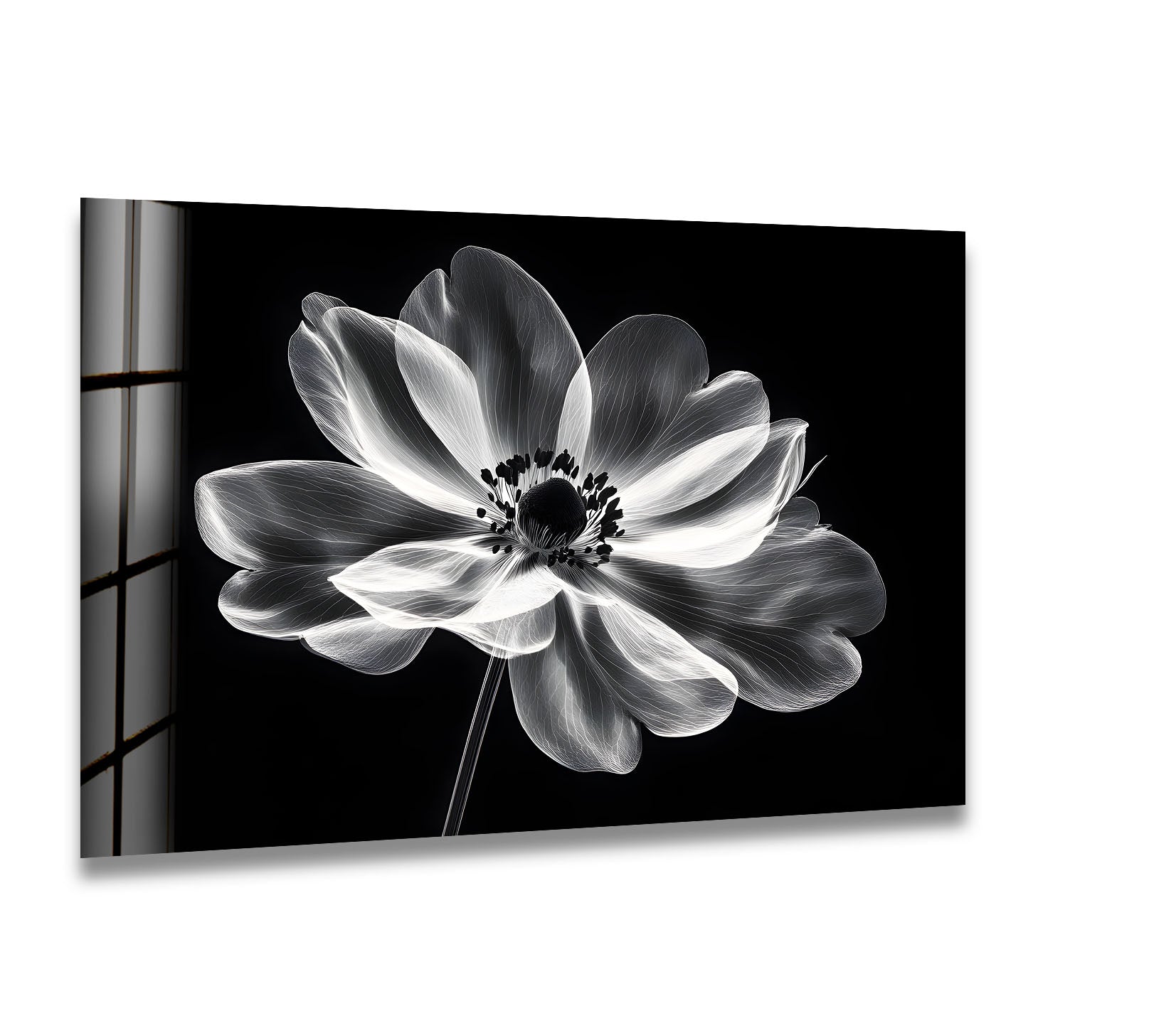 Black and White Floral Wall Art - Elegant Glass Canvas Print for Home & Office Decor | Perfect for Living Room, Bedroom, or Office Wall Decor