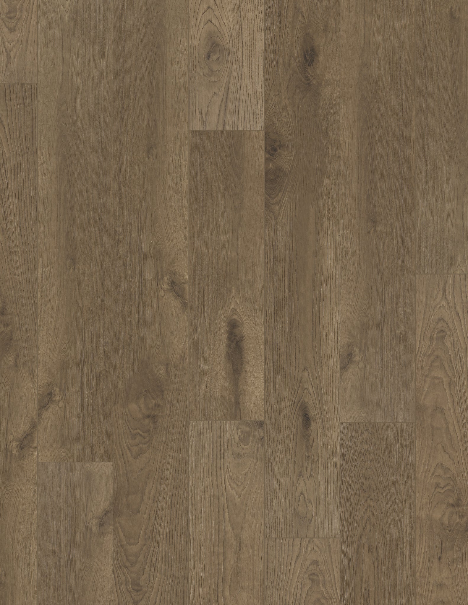 Coretec Scratch-Resistant Luxury Vinyl Plank Flooring - Suffolk Oak 9