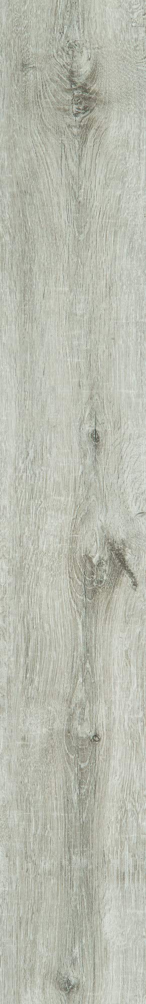 Premium Floorté Pro Anvil Plus Waterproof Vinyl Plank Flooring - Beach Oak Wood Look, 27.73 sqft (6-Pack) - Perfect for Living Rooms, Bedrooms & High-Traffic Areas