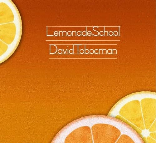 Refreshing Lemonade School - Perfect for Summer Parties, Picnics & Outdoor Events | Bulk Pack for Schools & Cafeterias