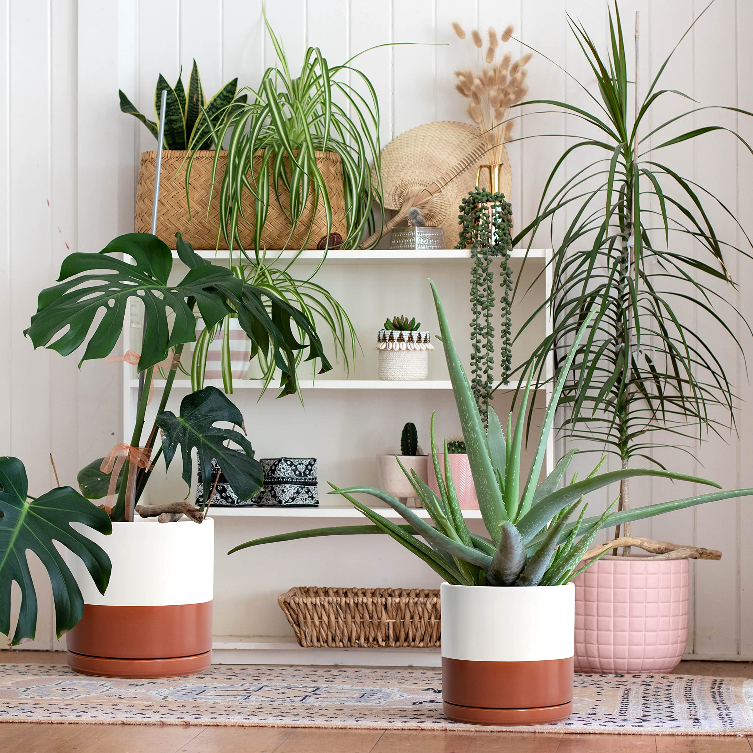 D'vine Dev Set of 2 - 8 Inch Ceramic Plant Pots with Drainage Hole & Saucer - White & Terracotta Flower Planters for Indoor/Outdoor Plants - Perfect for Home Decor, Office, Garden, and Patio