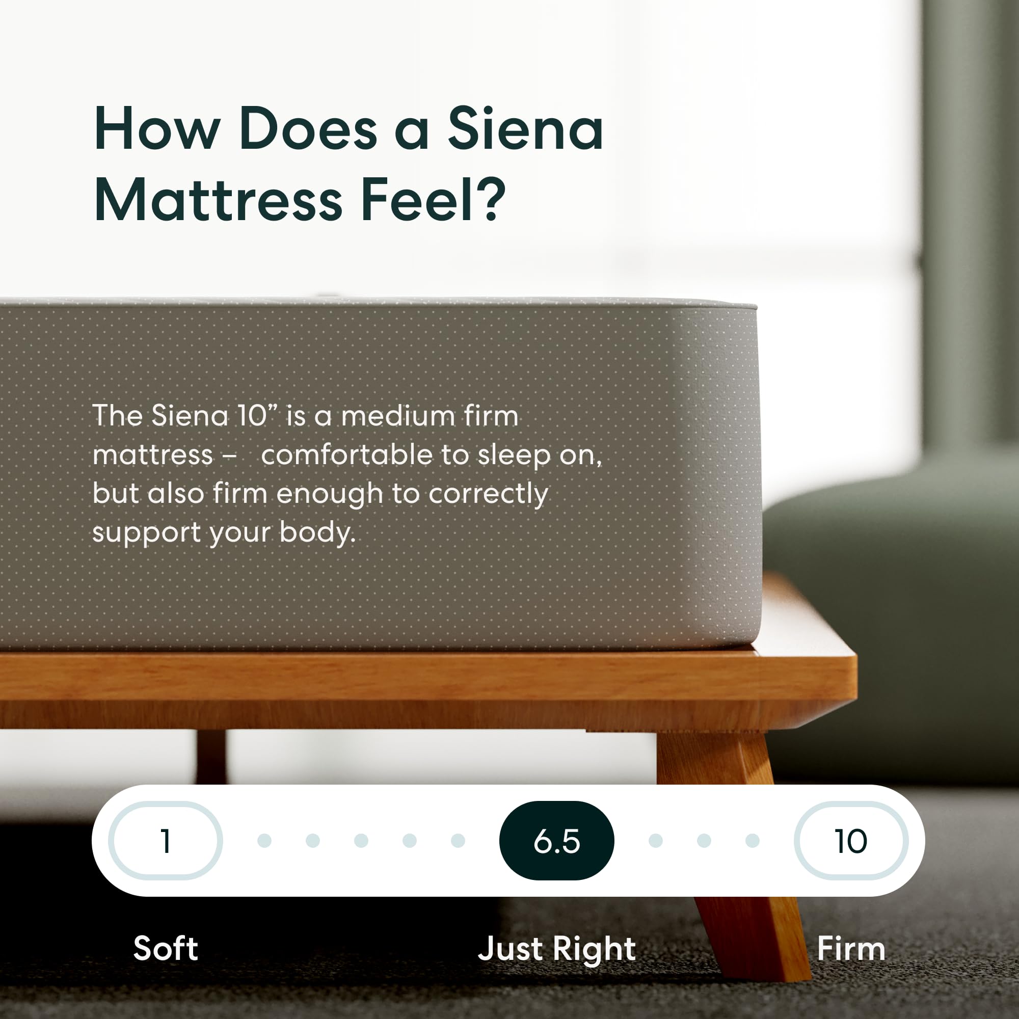 Siena Twin XL 10