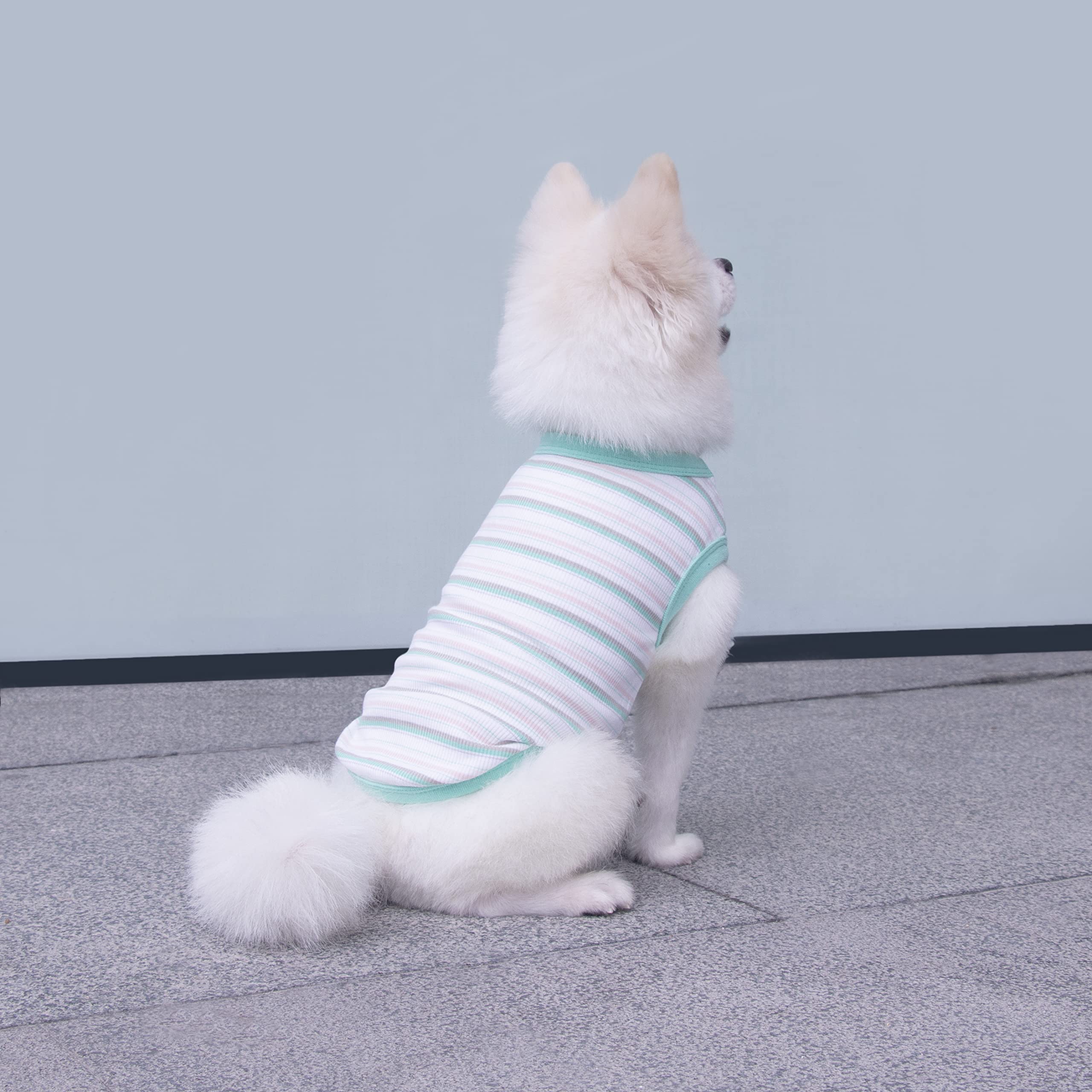 Striped Teacup Pet Dog T-Shirts - 100% Cotton Sleeveless Tank Vest for Small Dogs & Cats - Comfortable Puppy Clothes for Chihuahua, Yorkie - X-Small - Perfect for Summer Walks & Indoor Playtime