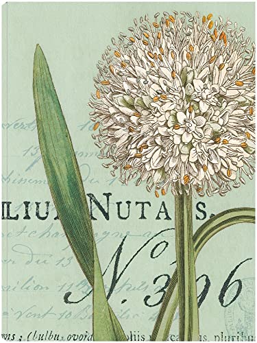 Botanique Bleu II