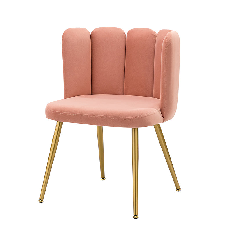 Elodia Side Chair - Modern Accent Chair for Dining Room, Living Room & Office - Sturdy Wooden Frame with Upholstered Seat - Perfect for Home Decor & Small Spaces