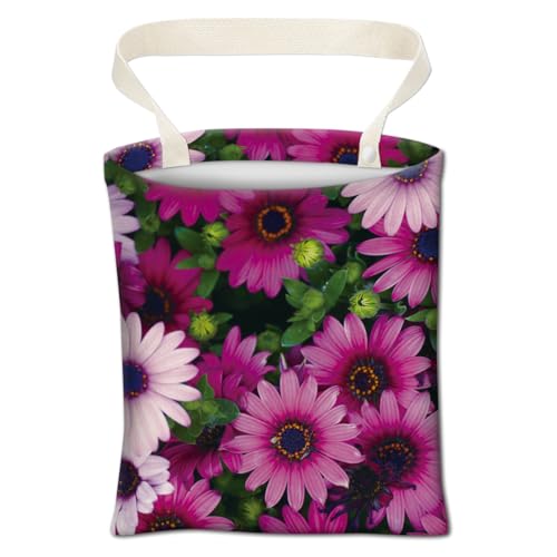 Pink Purple Daisy