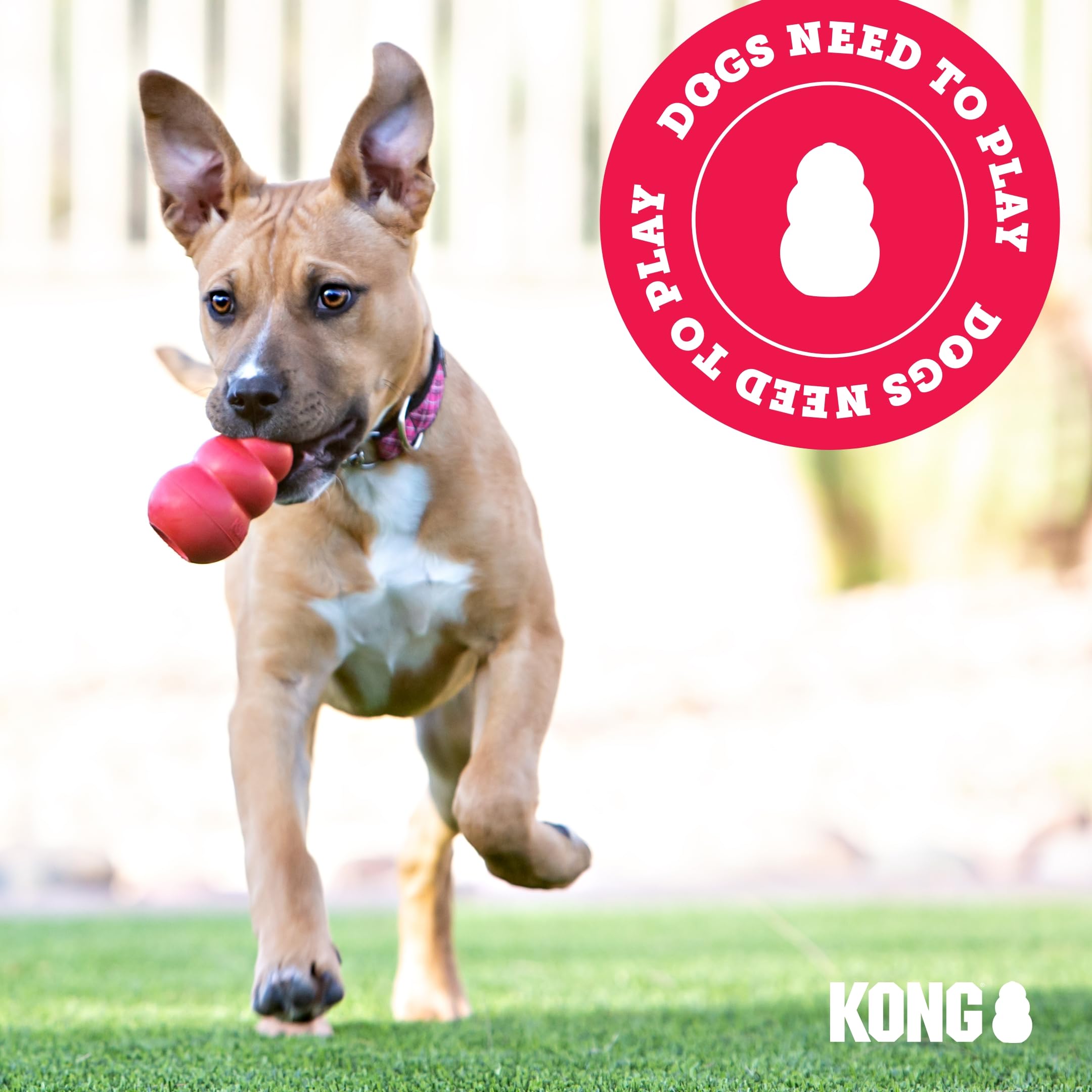 Durable KONG Flyer Natural Rubber Flying Disc Dog Toy - Safe Fetch & Outdoor Play for Small Dogs - Perfect for Park, Beach & Backyard Fun