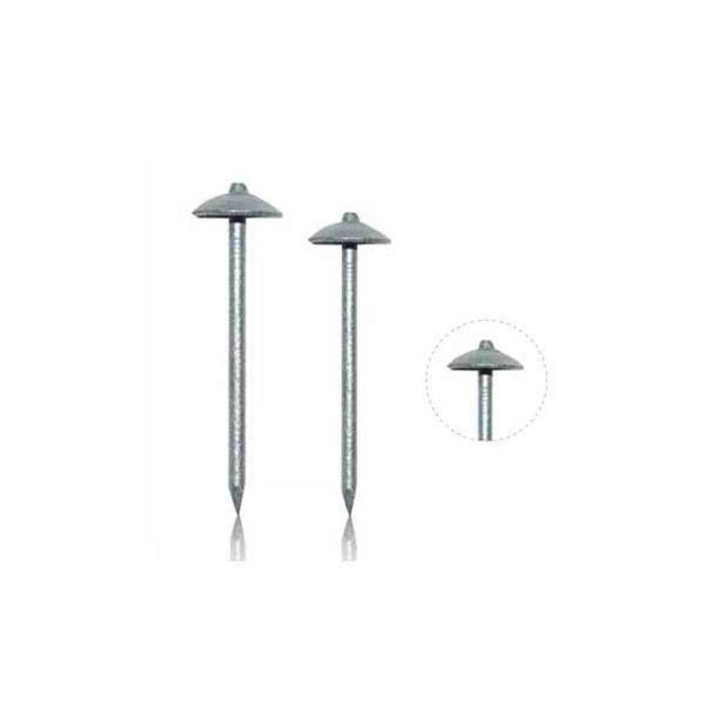 BIL Galvanized Roofing Nails - 65mm (2.56 inch) 1kg Pack - Durable Construction Nails for Roofing, Fencing & Outdoor Projects