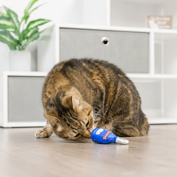 Premium Huxley & Kent Jelly Roll & Meowchewits Interactive Cat Toy - Fun Chew Toy for Kittens & Adult Cats - Perfect for Playtime, Training & Stress Relief
