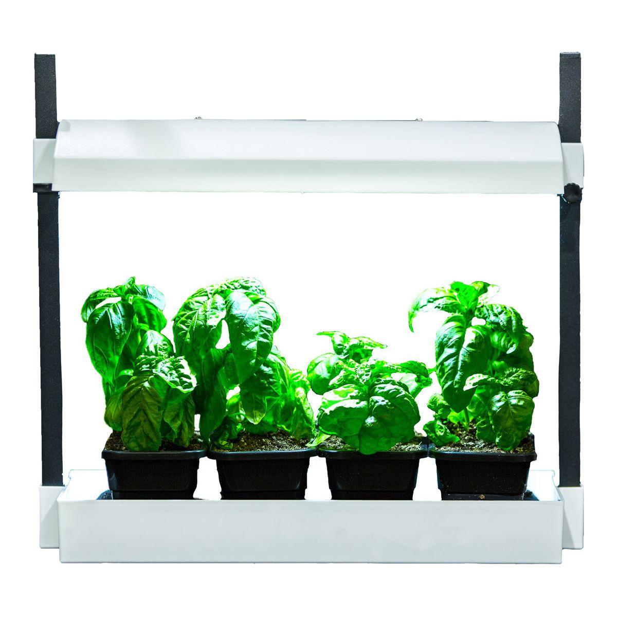 SunBlaster Micro LED Grow Light for Indoor Plants - Full Spectrum White Light for Hydroponics, Greenhouses & Home Gardening