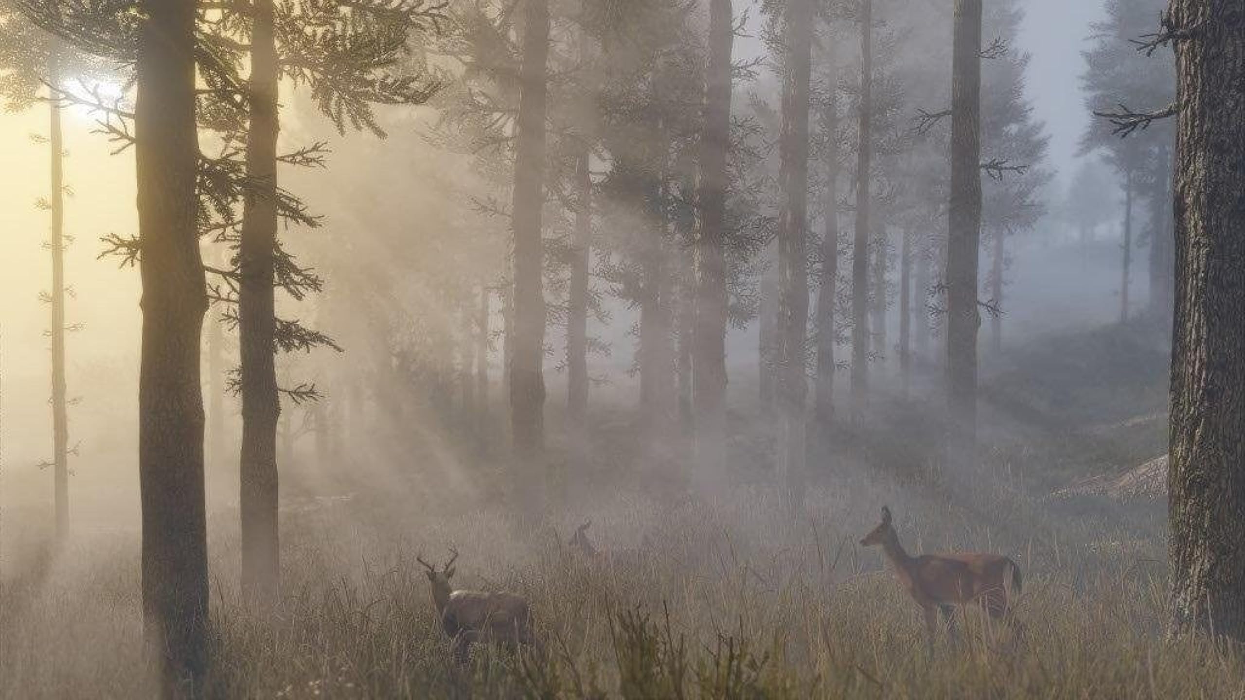 Red Dead Redemption 2 - PlayStation 4 Game | Open World Western Adventure | Perfect for Gaming Enthusiasts & Western Fans | Great for Solo Play & Multiplayer Action